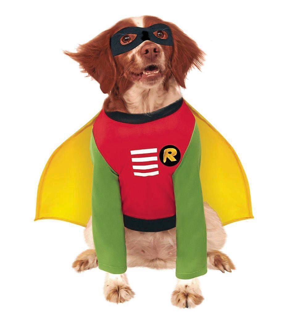 Robin